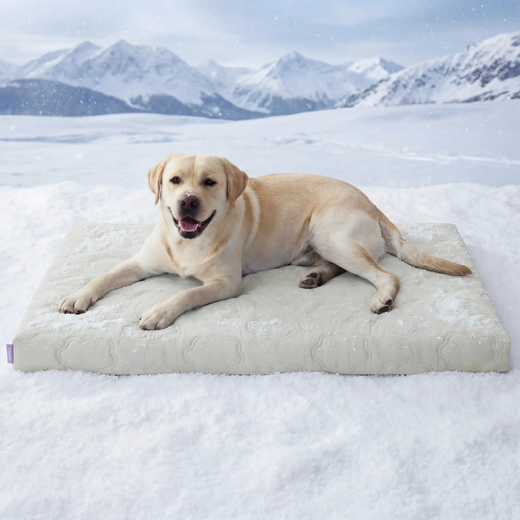 Lesure Cooling Orthopedic Dog Thick Mat – Q-Max>0.5 Cooling Mat with Washable Cover, Egg Crate Foam Non-Slip Bed for Extra Large Dogs