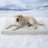 Lesure Cooling Orthopedic Dog Thick Mat – Q-Max>0.5 Cooling Mat with Washable Cover, Egg Crate Foam Non-Slip Bed for Extra Large Dogs