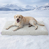Lesure Cooling Orthopedic Dog Thick Mat – Q-Max>0.5 Cooling Mat with Washable Cover, Egg Crate Foam Non-Slip Bed for Extra Large Dogs - Color: Thick Mat-Grey, Size: L-CRATE(35"L x 23"W)